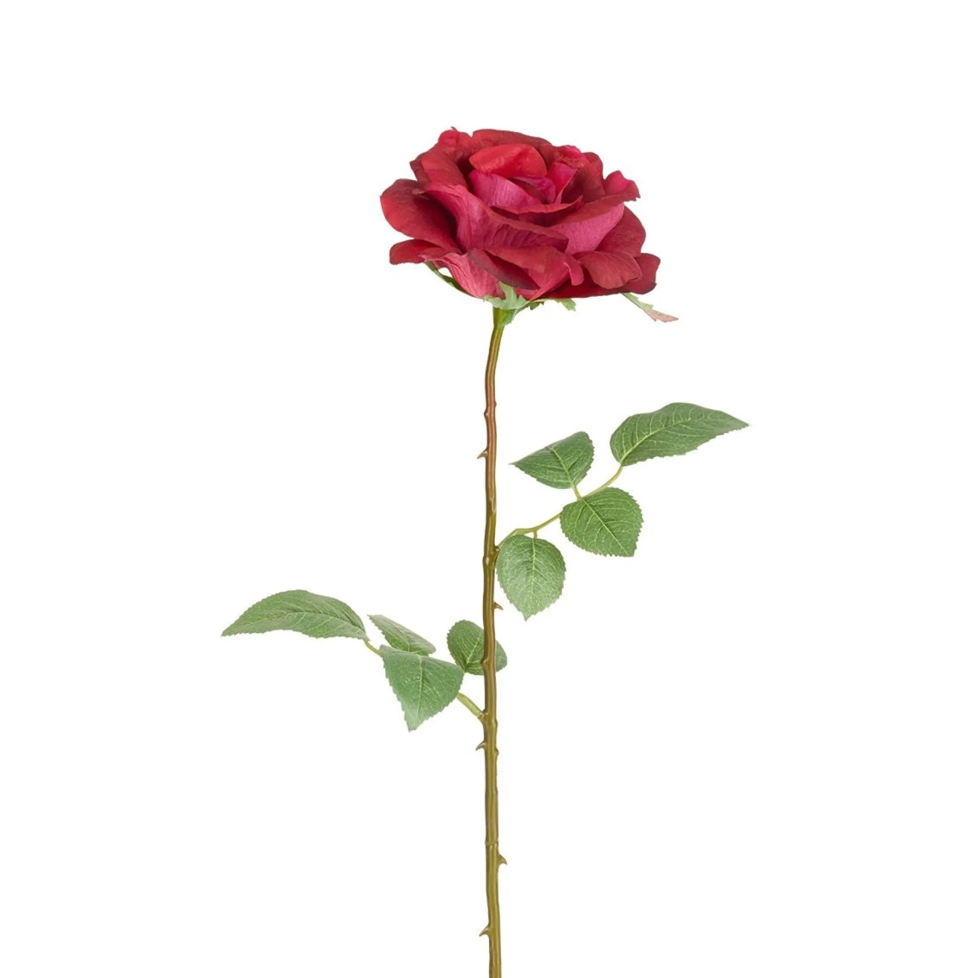 Tige de Rose Sophie fermée