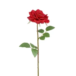 Tige de Rose Sophie ouverte