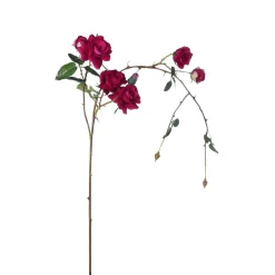 Tige de Roses Tombante