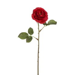 Tige de Rose Tea