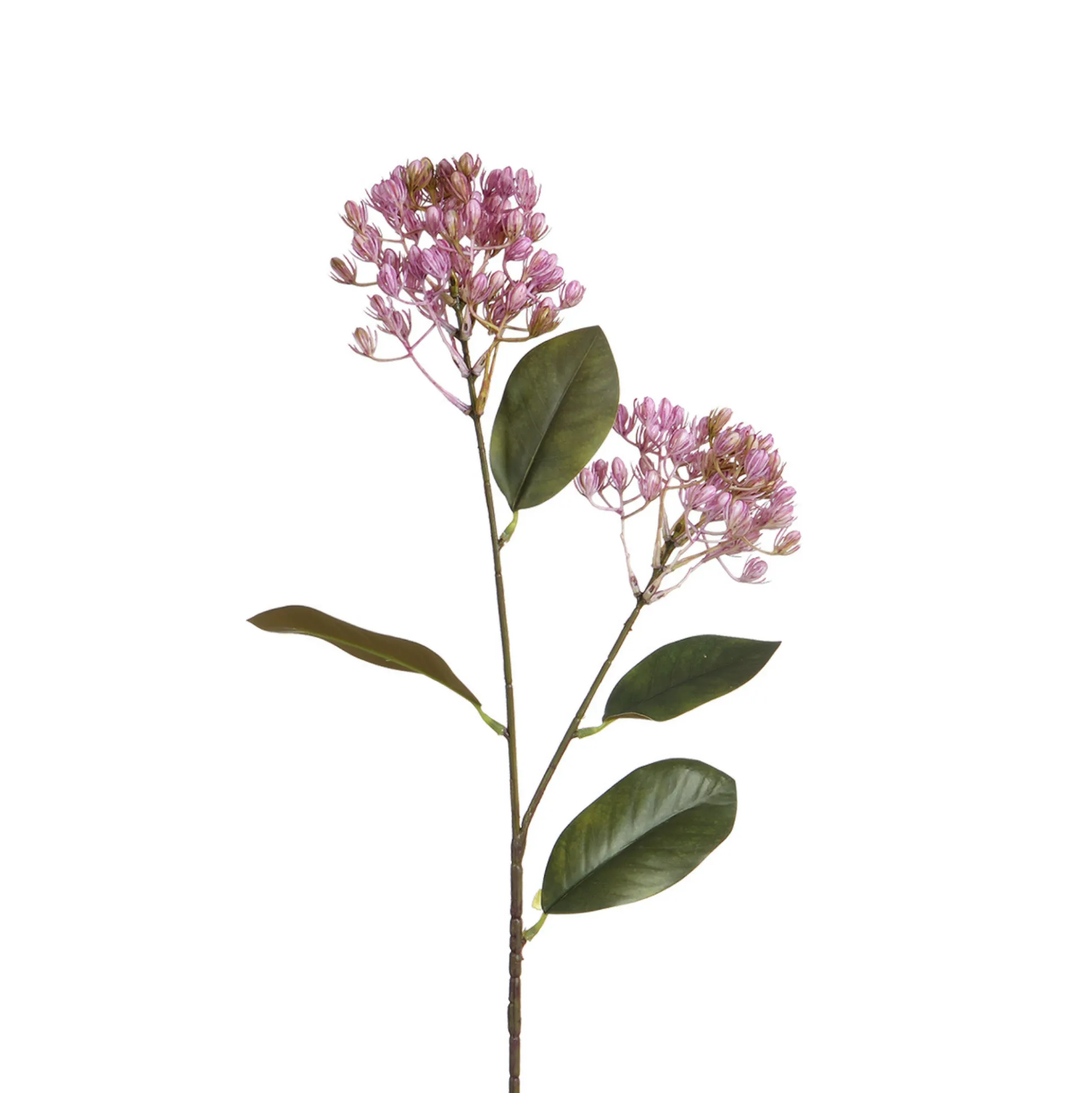 Tige de Sedum 80 cm