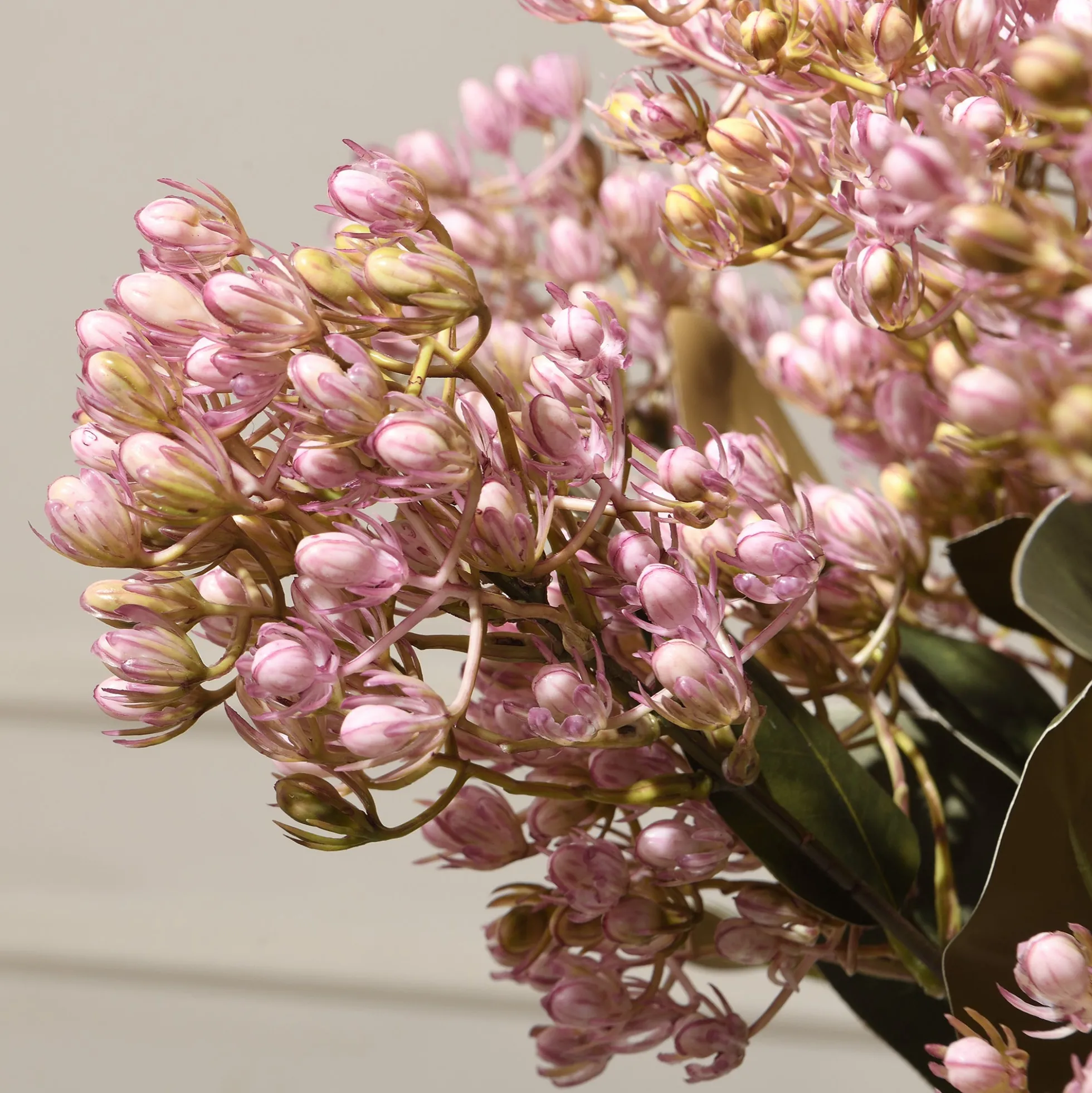 Tige de Sedum 80 cm