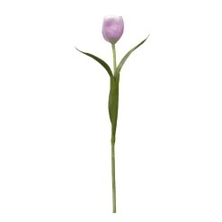 Tige de Tulipe Emilia