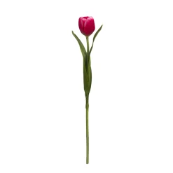 Tige de Tulipe Emilia