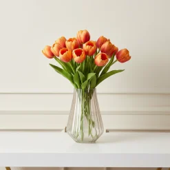 Tige de Tulipe Emilia