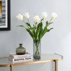 Tige de Tulipe Perroquet