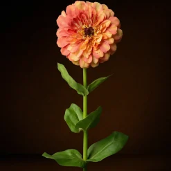 Tige de Zinnia Premium