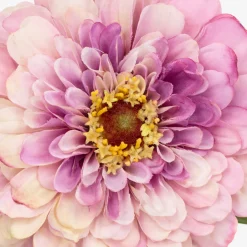 Tige de Zinnia Premium