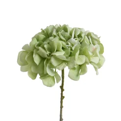 Tige d’Hortensia 63 cm