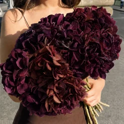 Tige d’Hortensia 63 cm