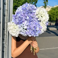 Tige d’Hortensia 63 cm