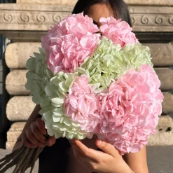 Tige d’Hortensia 63 cm