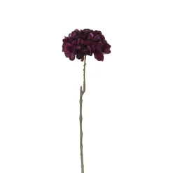 Tige d’Hortensia 63 cm