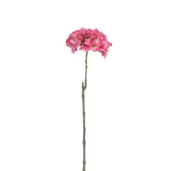 Tige d’Hortensia 63 cm