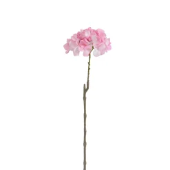 Tige d’Hortensia 63 cm
