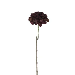 Tige d’Hortensia 63 cm