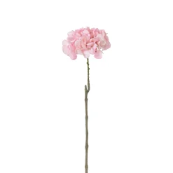 Tige d’Hortensia 63 cm