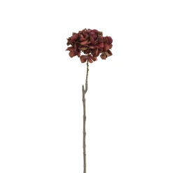 Tige d’Hortensia 63 cm