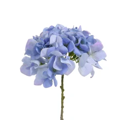 Tige d’Hortensia 63 cm