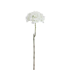 Tige d’Hortensia 63 cm