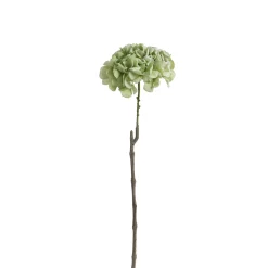 Tige d’Hortensia 63 cm