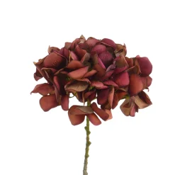 Tige d’Hortensia 63 cm