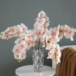Tige d'Orchidée Bandailan