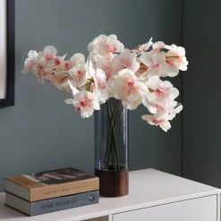 Tige d'Orchidée Bandailan