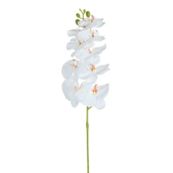Tige d’Orchidée 90 cm