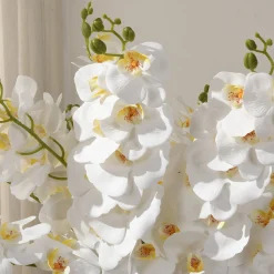 Tige d’Orchidée 90 cm