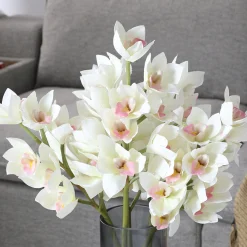Tige d'Orchidée Cymbidium