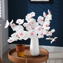 Tige d'Orchidée Phalaenopsis