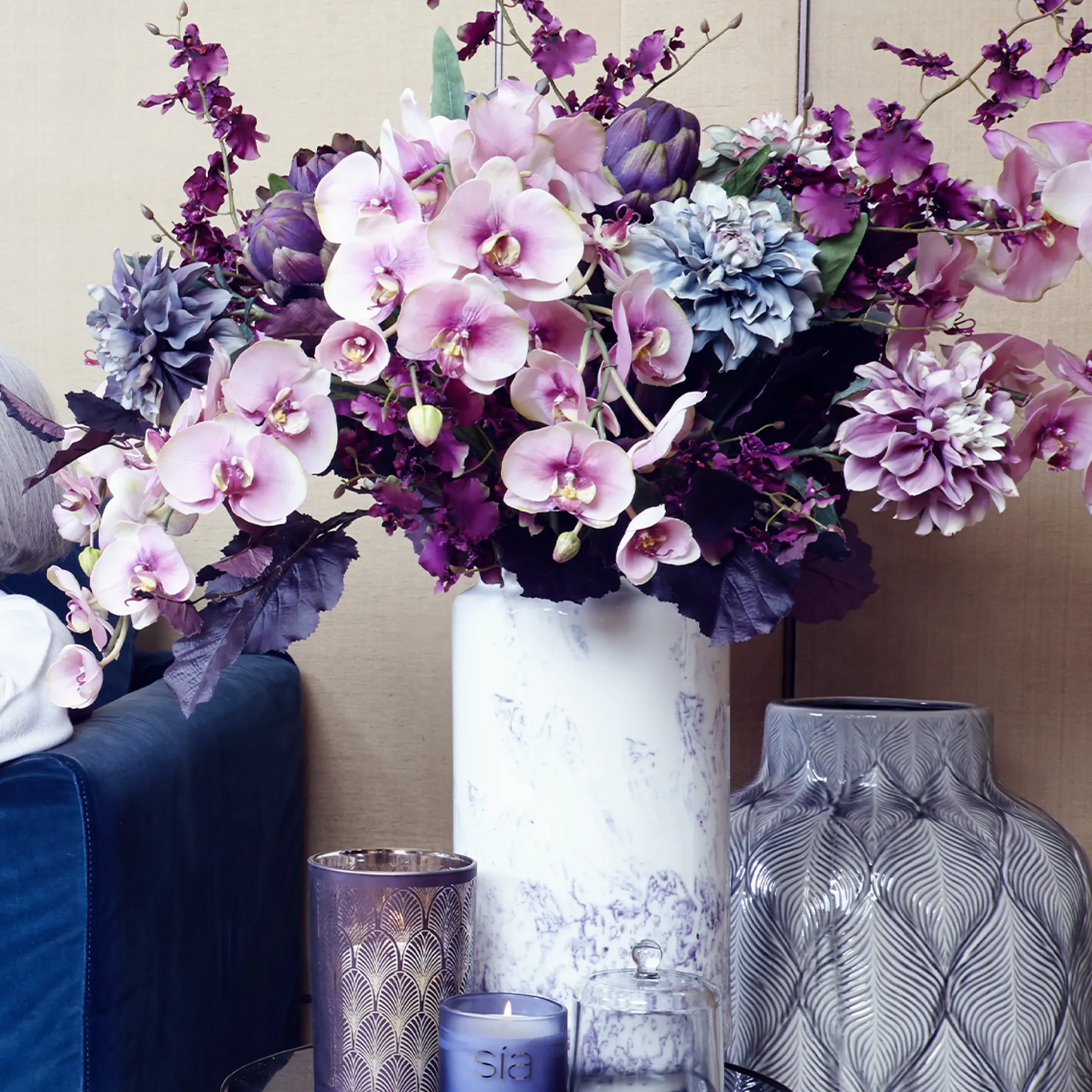 Tige d'Orchidée Phalaenopsis Budy