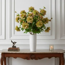 Tige Helleborus Niger avec bourgeon