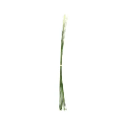 Touffe d'Herbes