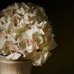 Vase Grow Petit Format