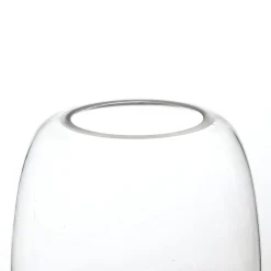 Vase transparent Bulbe