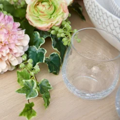 Verres à Eau Alba